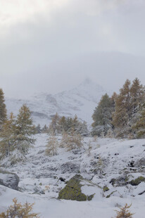 雪覆山林的冬日美景