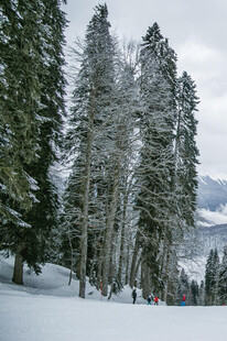 雪覆山林间的滑雪场景