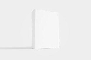 长方形扁盒子包装设计展示样机