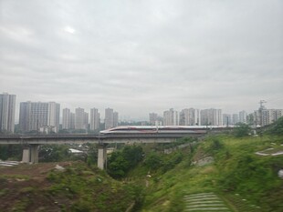城市远郊风景 绿植与高楼 