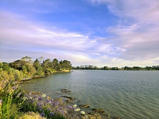奥克兰海边风景