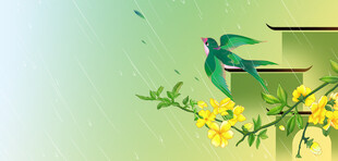 翠鸟栖花枝谷雨海报背景