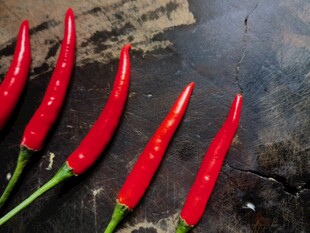 新鲜红辣椒