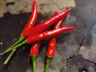 鲜红辣椒