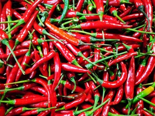 红辣椒