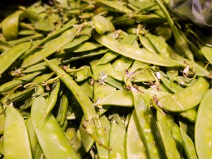 新鲜饱满的青豆荚