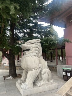 石狮子守护古建庭院