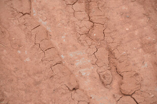干裂的红土地纹理