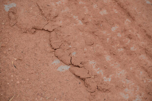 红褐色粉末泥土地面纹理特写