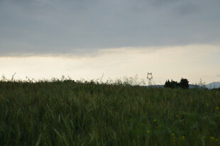 田野上空的阴沉天色