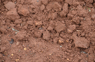 红褐色土壤特写