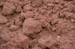 红褐色土壤特写