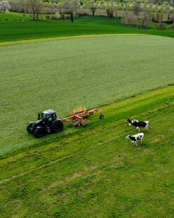 田野中的农机与牛群