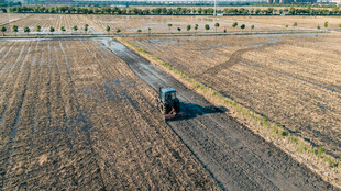 田野中独行的人