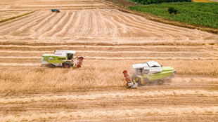 麦田里的联合收割机作业