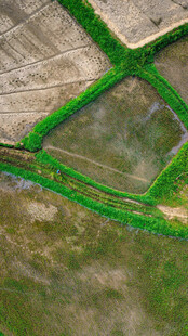 俯瞰翠绿几何形状农田