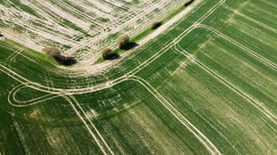 俯瞰绿色田野美丽景观