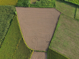 俯瞰规整农田景色