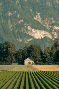山间农田中的小屋