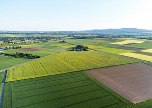 田园风光航拍图