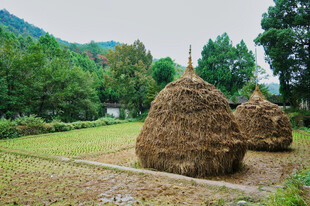 田野中的巨大干草堆