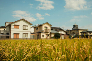 田野旁的温馨住宅