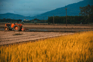 秋日田野中的拖拉机作业