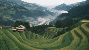 山间梯田美景