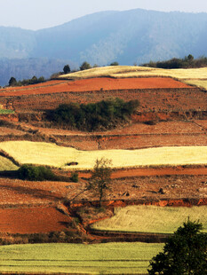 多彩梯田自然风光图