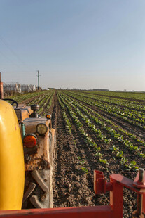 农田中的农业机械设备
