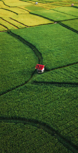 田野中行驶的红色农机具