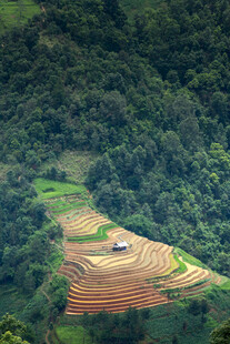 山间梯田与小屋美景