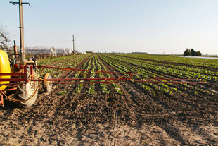 农田中拖拉机正在作业