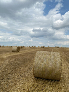 田野中的巨大干草卷