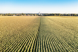 秋日广袤农田景象