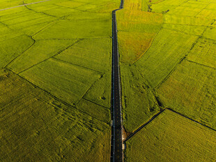 航拍绿色田野中的道路