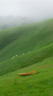 雾中绿野与散落羊群