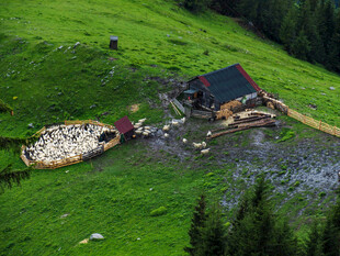 山间小屋与牧场美景