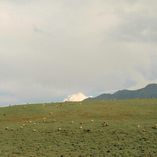 草原远景与山丘