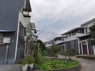 乡村清新民居院落景观