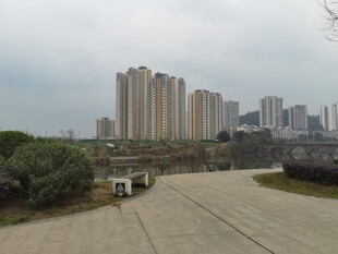 城市远景中的高楼与道路