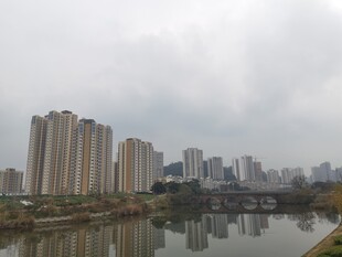河畔高楼风景