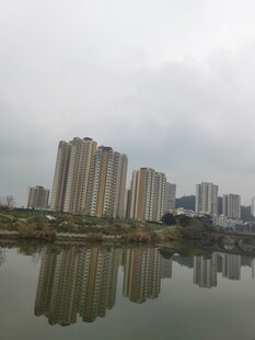 城市湖畔高楼倒影景观