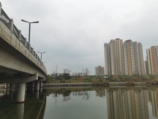 城市河畔桥梁风景图