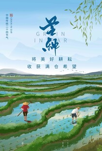 芒种 