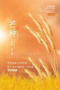 芒种 