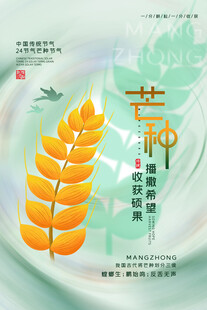 芒种 节气 麦穗 绿植 天空 