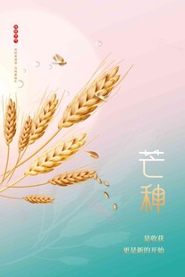 芒种 