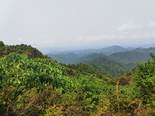 山间绿野 远眺连绵群山