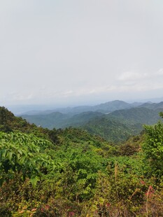 山间绿意盎然的秀丽景致